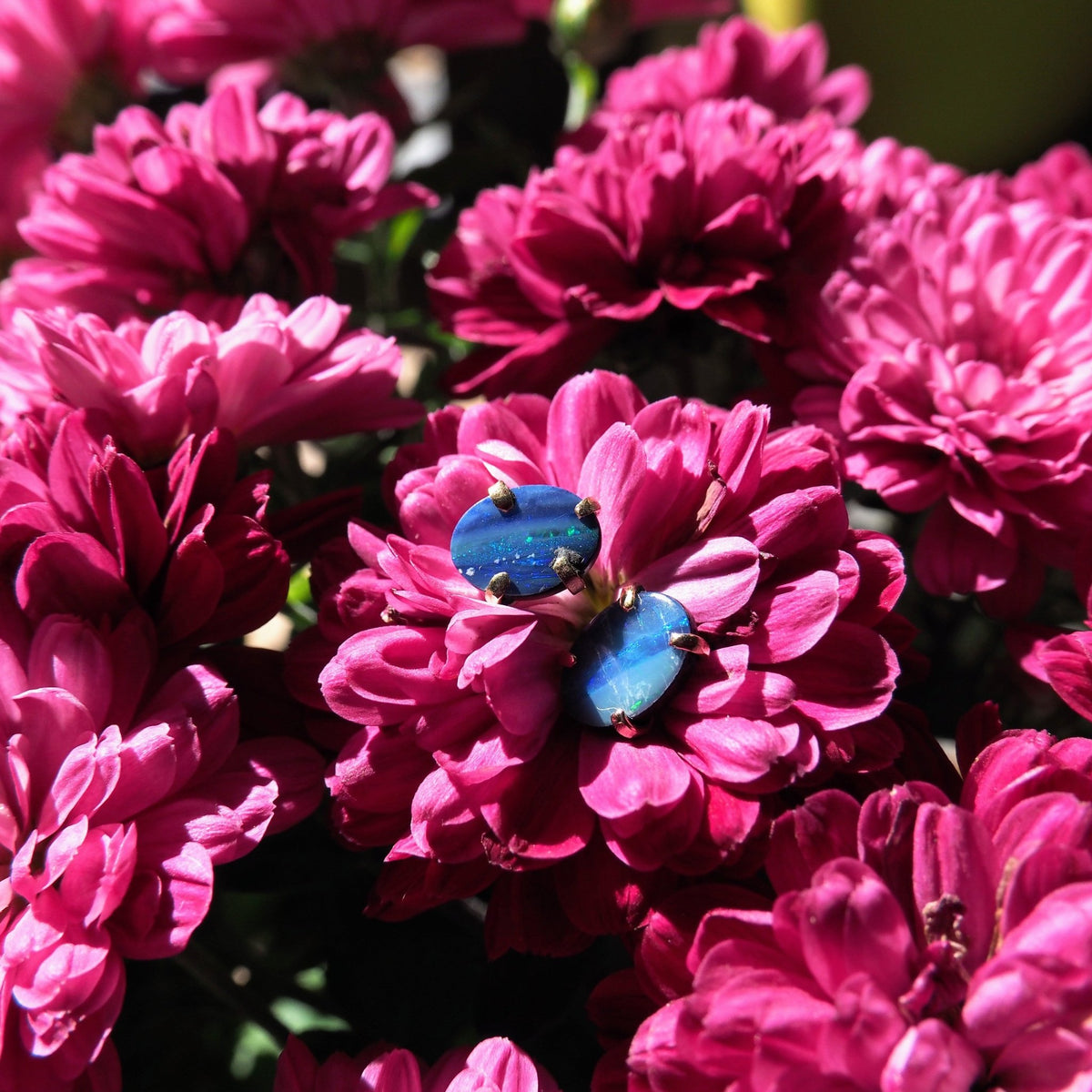 14k Opal Doublet Studs - Mettle by Abby