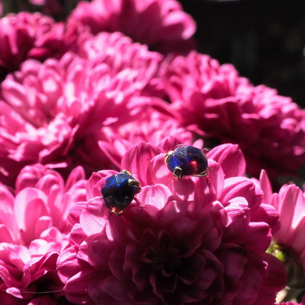 14k Black Opal Studs - Mettle by Abby