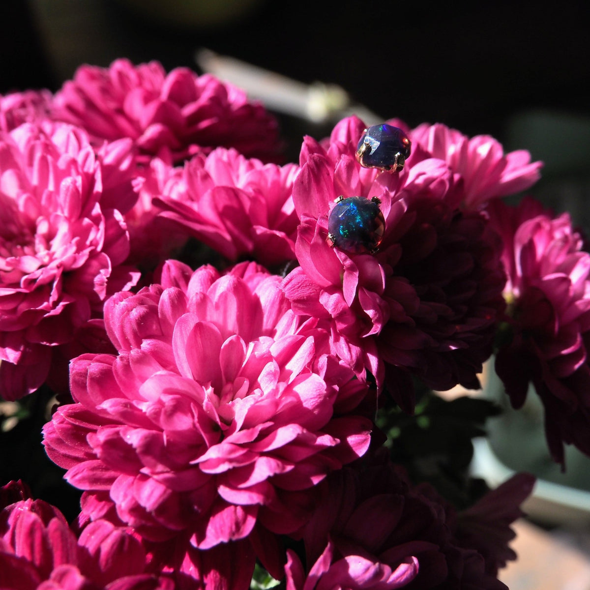 14k Black Opal Studs - Mettle by Abby