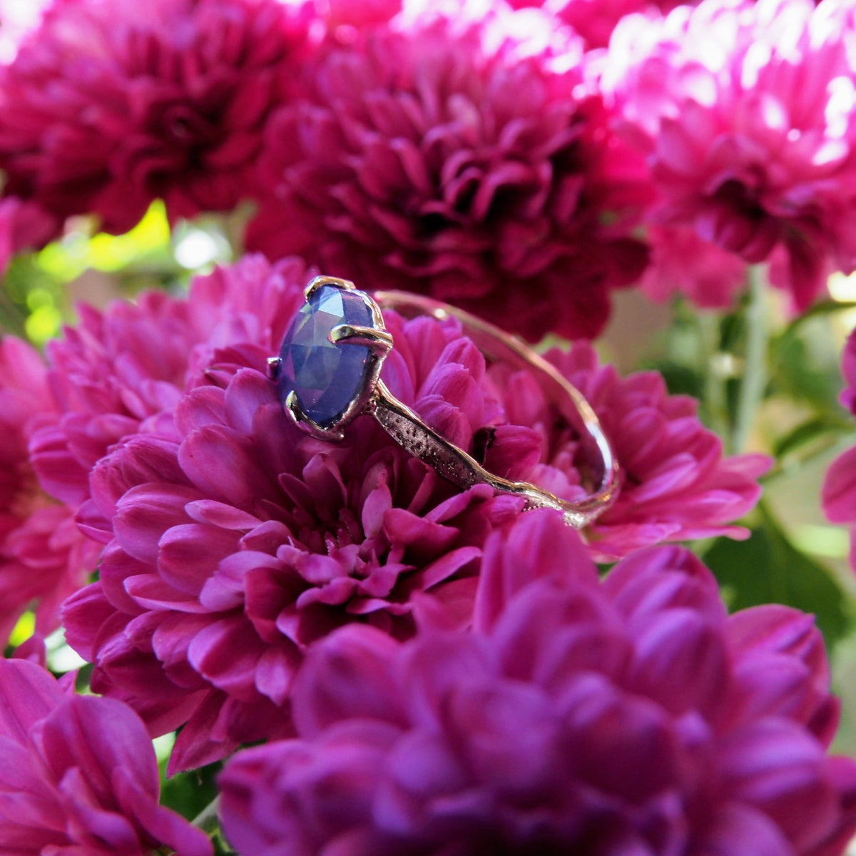 14k Star Dust Sapphire Ring - Mettle by Abby